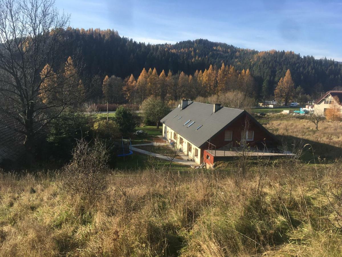 Powroznik 94 Daire Muszyna Dış mekan fotoğraf